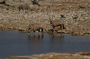 675 Namibia Okt 2006 .JPG